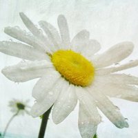 ÿqqͷͼƬ(3)_WWW.AIGEXING.COM