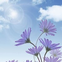 ÿqqͷͼƬ(14)_WWW.AIGEXING.COM