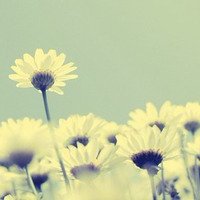 ÿqqͷͼƬ(1)_WWW.AIGEXING.COM