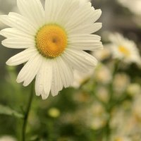 ÿqqͷͼƬ(8)_WWW.AIGEXING.COM