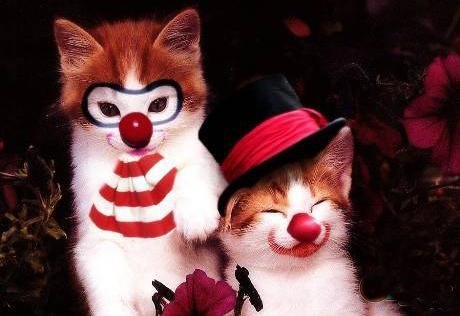 ȺƬ ϰƢι(1)_WWW.AIGEXING.COM