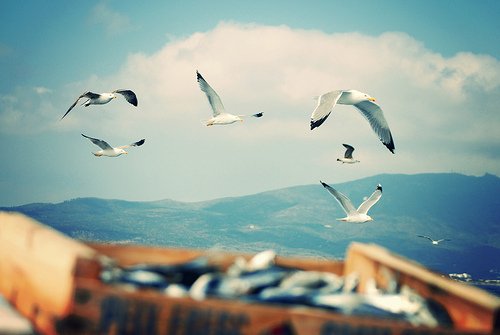 ʧŮ ҵı˰ͽ(1)_WWW.AIGEXING.COM