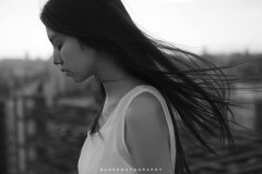 2015˸ĸ˵˵ ߵů.Ҹֻܵ