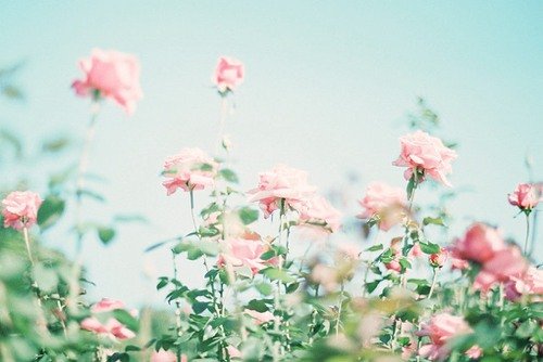 Ϊ˳Ȼ˵˵(1)_WWW.AIGEXING.COM