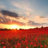 ϲΨͷ(6)_WWW.AIGEXING.COM