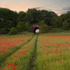 ϲΨͷ(3)_WWW.AIGEXING.COM