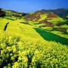 ϲΨͷ(11)_WWW.AIGEXING.COM