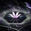 ֺÿͷ׻ͷ(7)_WWW.AIGEXING.COM