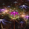 ֺÿͷ׻ͷ(3)_WWW.AIGEXING.COM