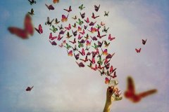 鲻ã۵ֻ˸˵˵