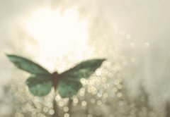 2015׷˵ĸЦ˵˵