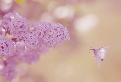 ʧ˸˵˵(1)_WWW.AIGEXING.COM
