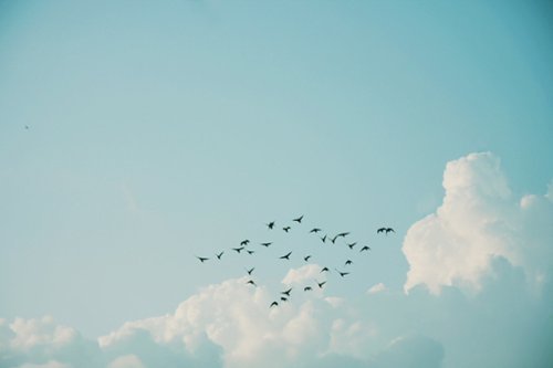 ɰȵŮ(1)_WWW.AIGEXING.COM