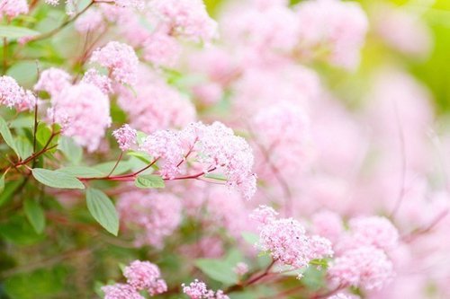 ڰ˸˵˵ͼƬ(2)_WWW.AIGEXING.COM