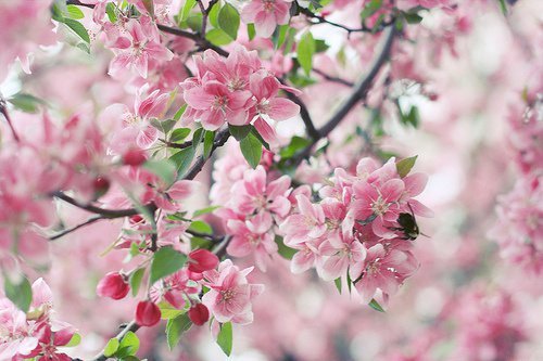 ڰ˸˵˵ͼƬ(3)_WWW.AIGEXING.COM