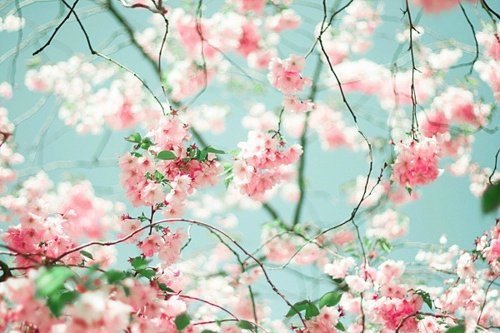 ڰ˸˵˵ͼƬ(4)_WWW.AIGEXING.COM
