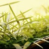 ܰȻ羰ͷ(3)_WWW.AIGEXING.COM