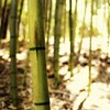 ܰȻ羰ͷ(9)_WWW.AIGEXING.COM