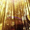 ܰȻ羰ͷ(10)_WWW.AIGEXING.COM
