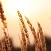 ܰȻ羰ͷ(1)_WWW.AIGEXING.COM