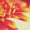 ܰȻ羰ͷ(6)_WWW.AIGEXING.COM