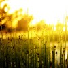ܰȻ羰ͷ(7)_WWW.AIGEXING.COM
