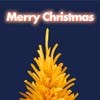 ˵Ŀۿ۸ͷ(25)_WWW.AIGEXING.COM