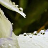 羰ͼͷ(11)_WWW.AIGEXING.COM