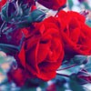 羰ͼͷ(9)_WWW.AIGEXING.COM