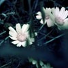 羰ͼͷ(17)_WWW.AIGEXING.COM