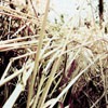 羰ͼͷ(10)_WWW.AIGEXING.COM