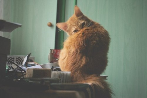 ִҲӮµ˵˵ͼƬ(1)_WWW.AIGEXING.COM