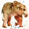 ֻˮʶQQͷ(11)_WWW.AIGEXING.COM