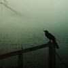ഺ˸еĸͷ(16)_WWW.AIGEXING.COM