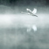 Ψ羰QQͷ(10)_WWW.AIGEXING.COM