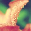 ΨÿĴȻ羰ͷ(8)_WWW.AIGEXING.COM