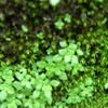 ΨÿĴȻ羰ͷ(4)_WWW.AIGEXING.COM
