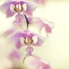 ΨÿĴȻ羰ͷ(10)_WWW.AIGEXING.COM