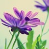 Ψͷ(7)_WWW.AIGEXING.COM