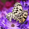 Ψͷ(16)_WWW.AIGEXING.COM