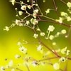 Ψͷ(5)_WWW.AIGEXING.COM