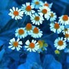 Ψͷ(1)_WWW.AIGEXING.COM