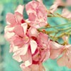 Ψͷ(18)_WWW.AIGEXING.COM