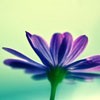 Ψͷ(2)_WWW.AIGEXING.COM