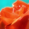 Ψͷ(4)_WWW.AIGEXING.COM