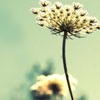 Ψͷ(14)_WWW.AIGEXING.COM