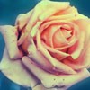 Ψͷ(9)_WWW.AIGEXING.COM