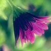 Ψͷ(11)_WWW.AIGEXING.COM