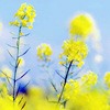 ޻ͷ(32)_WWW.AIGEXING.COM