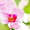 ޻ͷ(5)_WWW.AIGEXING.COM